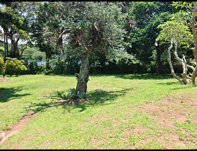 5 BEDROOM HOUSE FOR SALE IN ATHOLL HEIGHTS